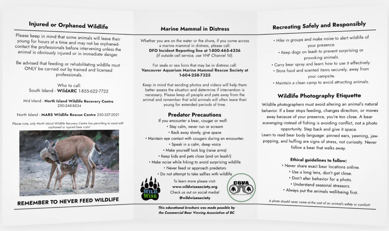 Inside of the visitor brochure: panels on injured or orphaned wildlife, marine mammals in distress, predator precautions, and recreating safely and responsibly.